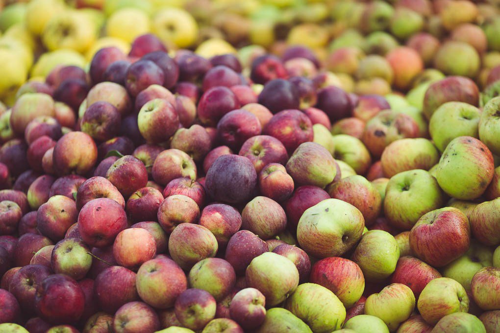 SeasonalTable's tweet photo. Apple Pressing Weekend https://t.co/b8JDC3o3xK https://t.co/2tKAMITM3N