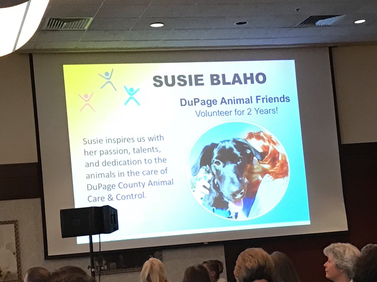 Honoring great volunteers! A high paw to the amazing Susie! 🐶#vola2017 <a href="/GivingDuPage/">givingdupage</a>