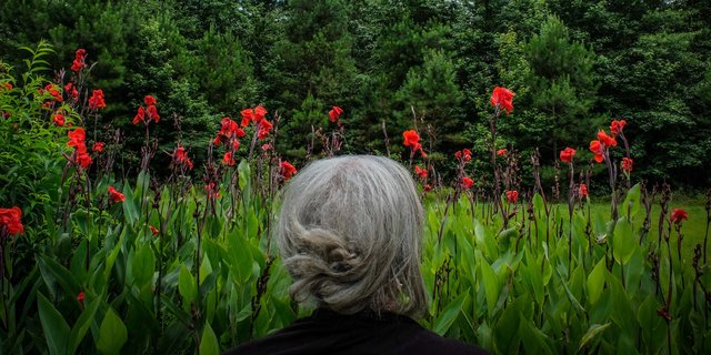 domusvr360's tweet photo. Congrats 2017 @GettyImages #Instagram Grants winners! @isadorakosofsky @khandelwal_saumya 📷: @arkansasfamilyalbum https://t.co/3CeqDslL4U https://t.co/jlXGCdKpcg