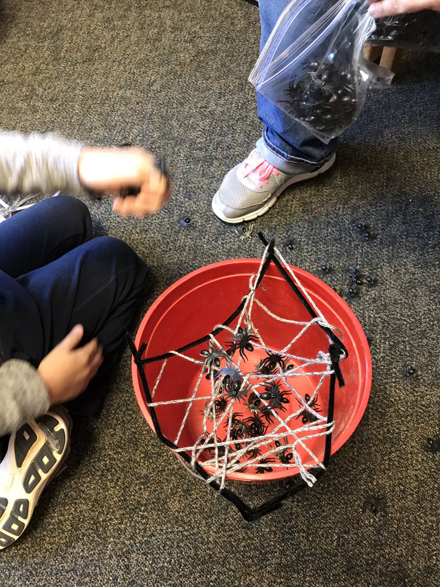 Fall STEM who made the strongest web?