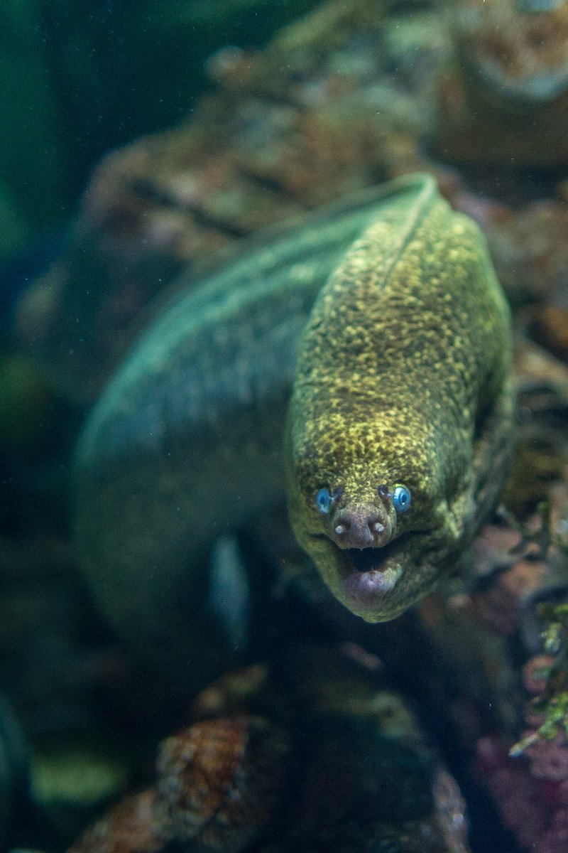National Aquarium tweet media