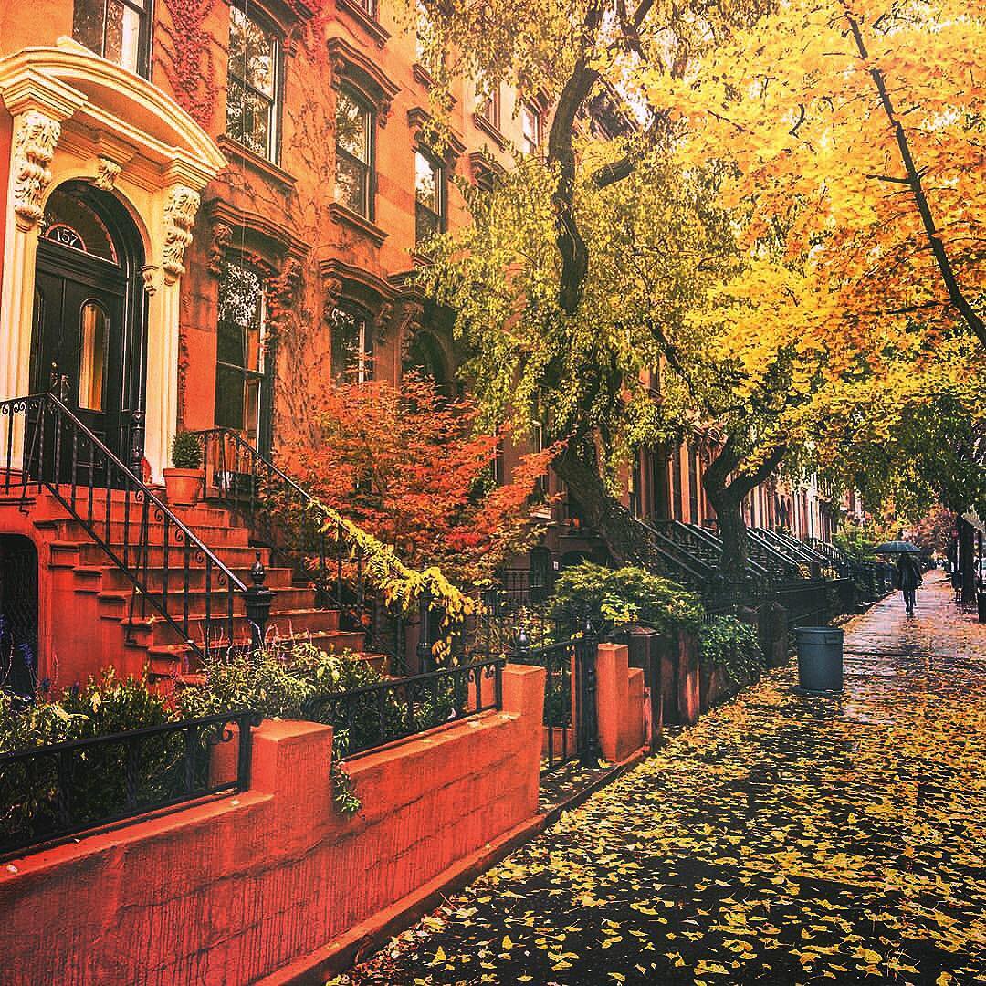 TheBoweryHouse's tweet photo. Fall in NYC โ you look beautiful rain or shine!
#FallInBrooklyn #AutumnInBrooklyn #BrooklynBrownstones https://t.co/H4ViT6emu6