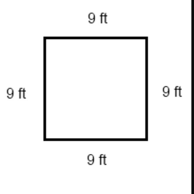 yankees_678's tweet photo. @tylermosi It’s $0.50 for every square foot of this lawn you need to cut. How much money will you make? https://t.co/ojh6SOXj79