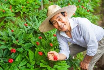 #KoreanRedGinseng has anti-oxidants, amino acids, vitamins, and enzymes—compounds that are good for the health. root9ginseng.com/about-red-gins…