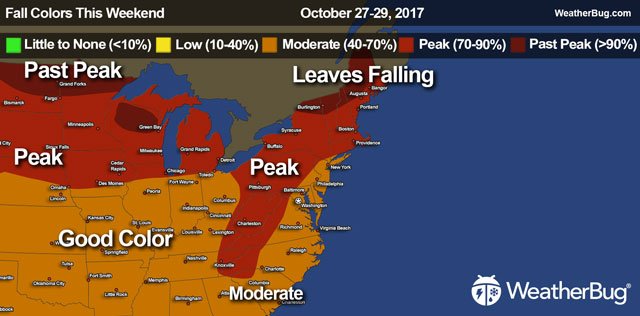 WeatherBug's tweet photo. Foliage is peaking across the Northeast, Midwest. Spend some time to enjoy before windy weather arrives. https://t.co/zD3cXPp7s6 https://t.co/JLIWeJFBEV