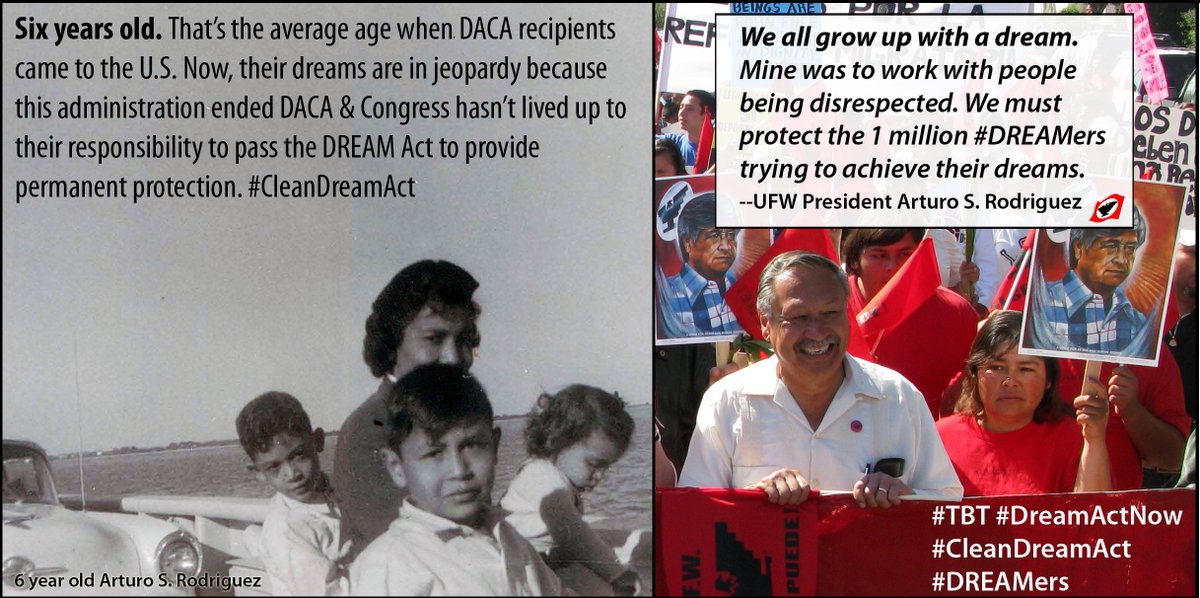 UFWupdates's tweet photo. #TBT My 6yr old dream was to work w/people being disrespected. We must protect #DREAMers trying to achieve their dreams #UFW @ArtieRodriguez https://t.co/UzBKtDjGmn
