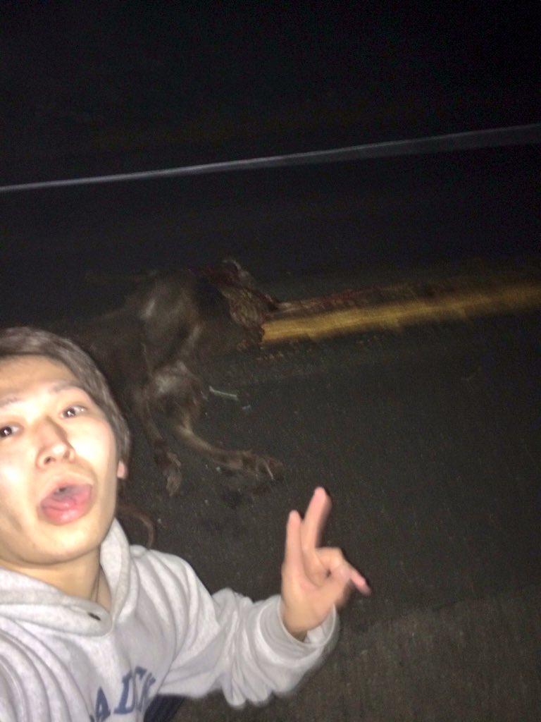 PEUGEOT】208スレッド Part14【プジョー】