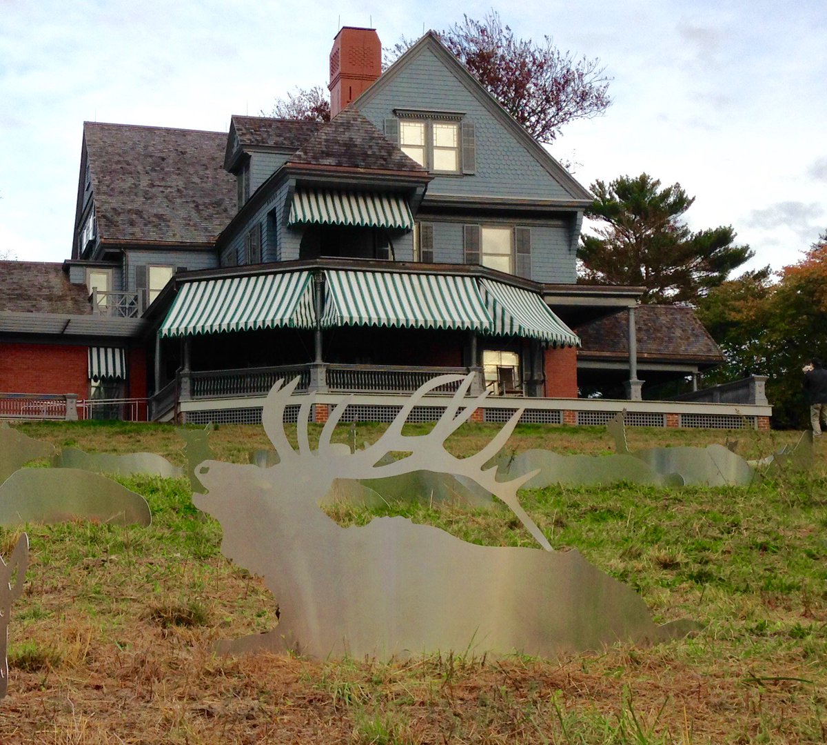 SagamoreHillNHS's tweet photo. #SagamoreHill has some new visitors! See press release for more information: https://t.co/F17phhwduX  #Elk #RooseveltElk #Art https://t.co/dWvcnMM3eK