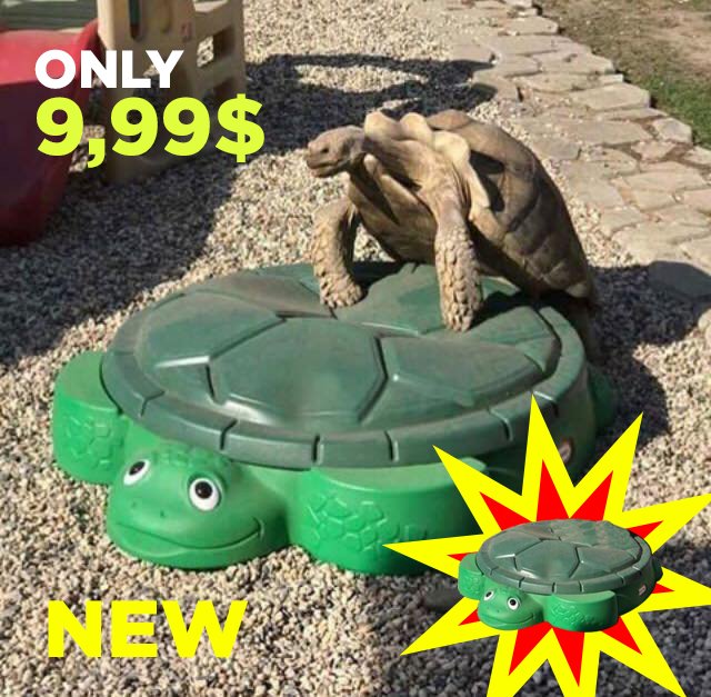 GalacticGlops's tweet photo. I am embarking on a new project : TORTLEBATE  #NeedMoney #BrokeReptilian #TORTLEBATE #HardWorkBeatsTalent #BestIdea #TheUniversIsMine https://t.co/fBzFIrXwHJ