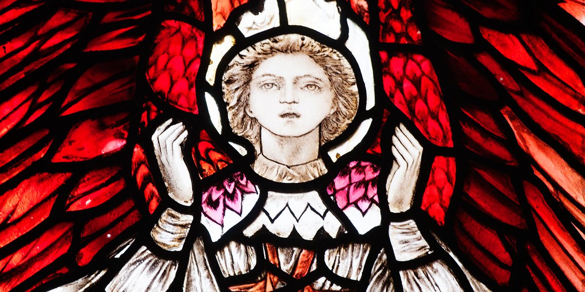 Leicester Museums & Galleries tweet media