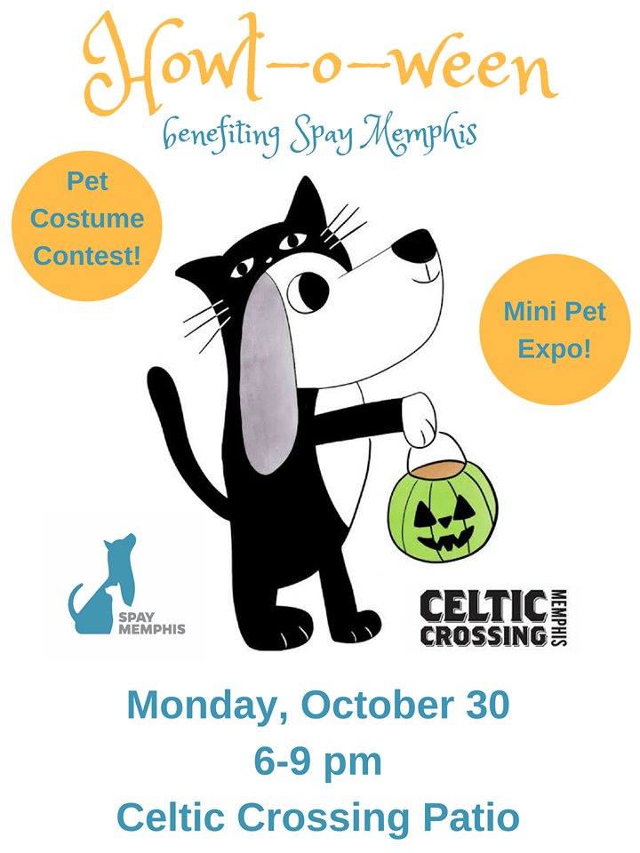 AnimalERMemphis's tweet photo. Don't miss us at the @spaymemphis Happy Howl-O-Ween! #memphis #dogsofmemphis https://t.co/Im5zN7FMyC