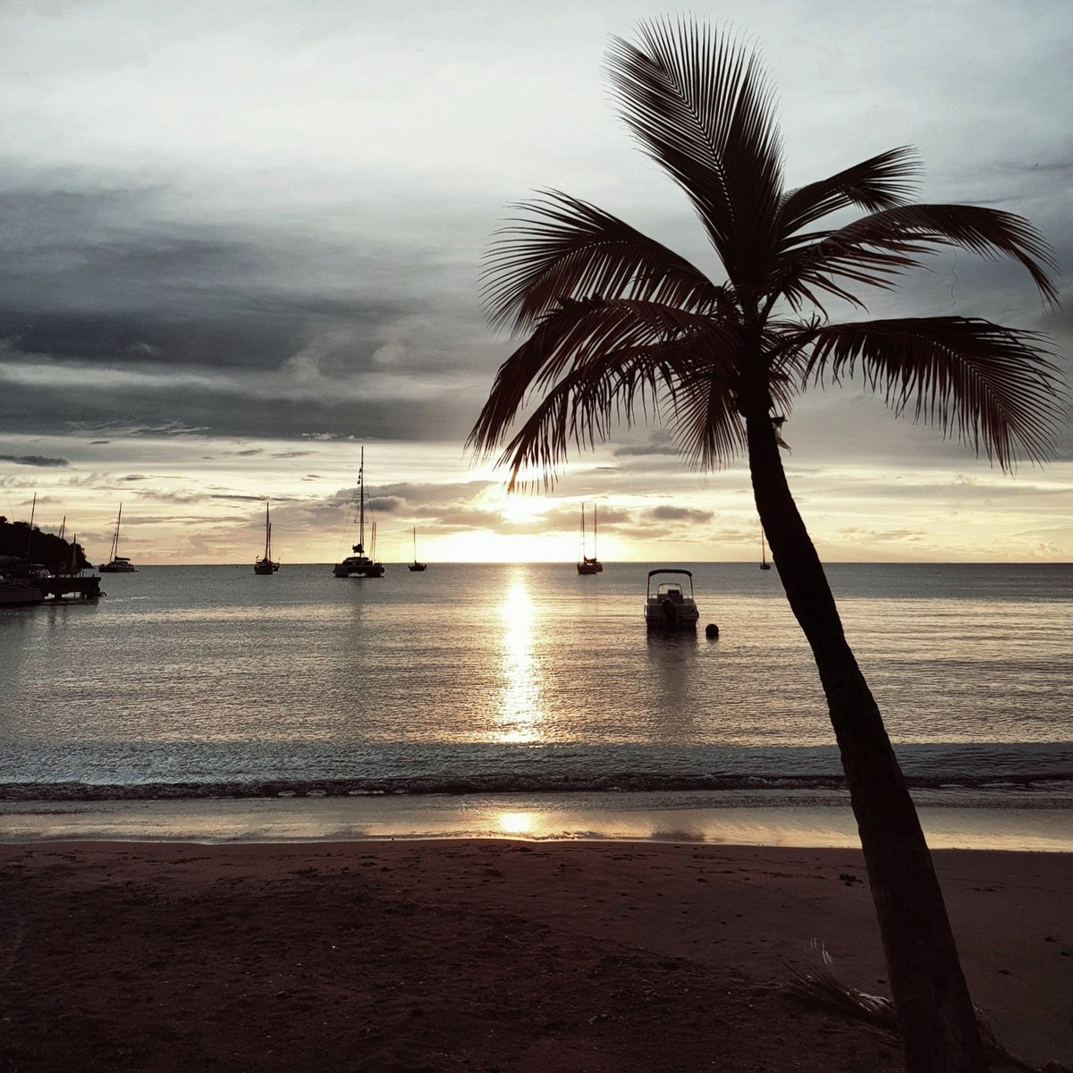 blackbeautybag's tweet photo. #blogtrip #mmi2017 #caribfruitsmmi #martinique https://t.co/mN22pKMxyh