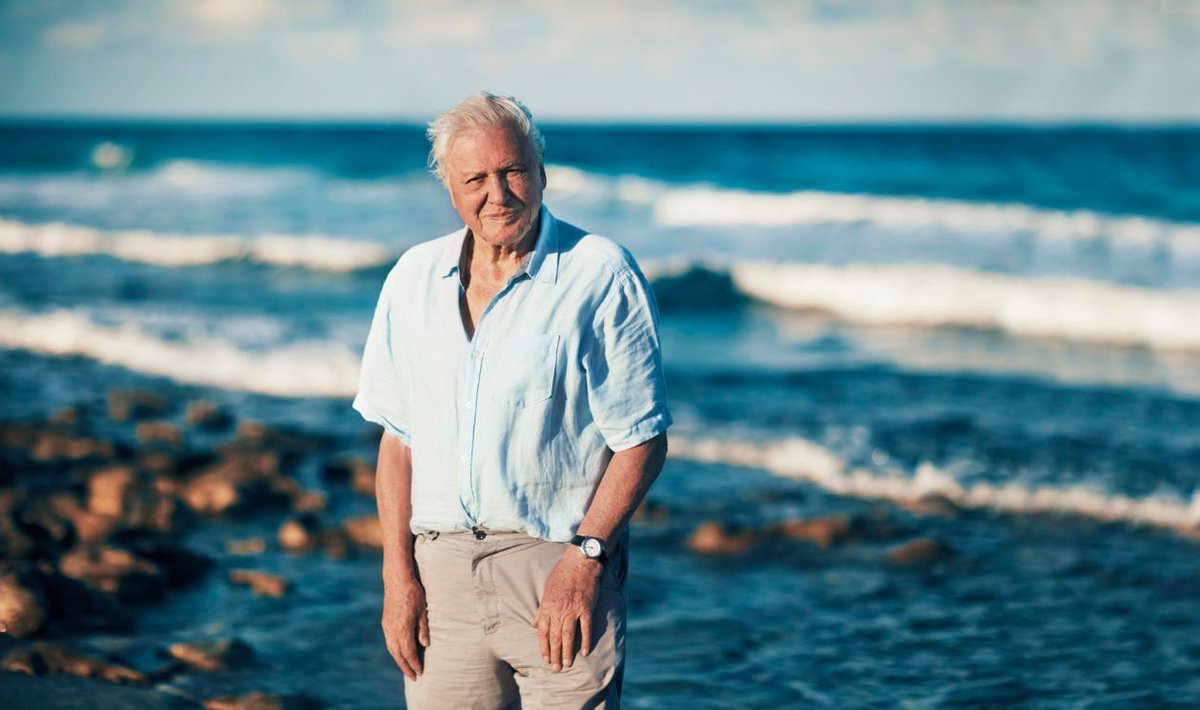 StatusRow's tweet photo. Guys, Sir David Attenborough is asking... please stop sending him letters in #plastic folders #saveourocean https://t.co/m5wknRakDa https://t.co/h8sWQxnHGH