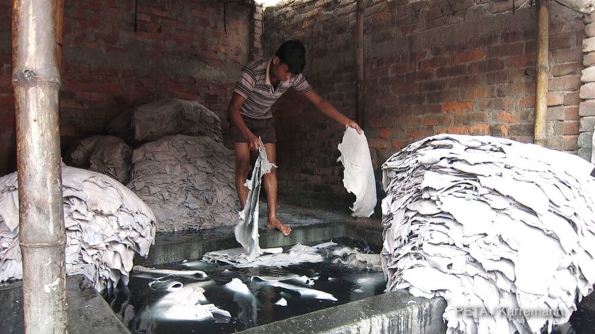 peta's tweet photo. Leather production harms the environment. It uses up 15K gallons of water per ton & creates toxic waste like THIS. #LeatherIsDead https://t.co/CzJtO40MOv