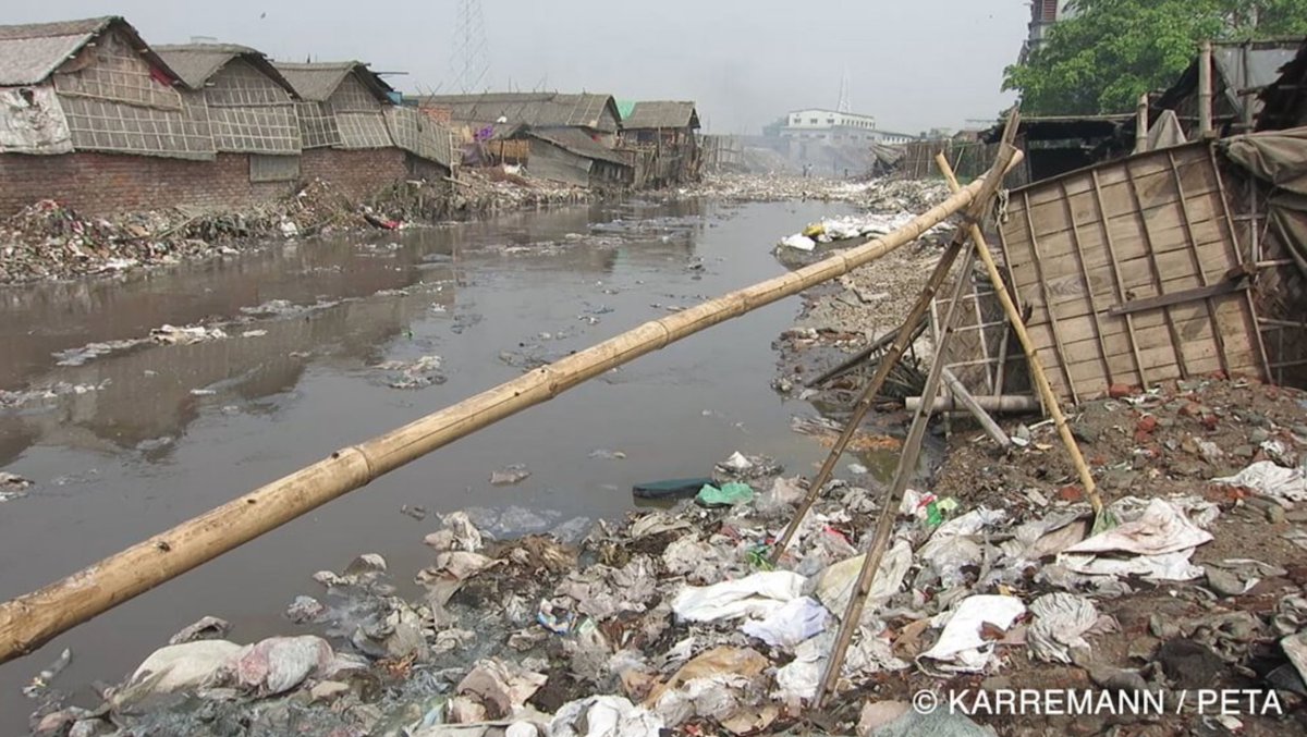 peta's tweet photo. Leather production harms the environment. It uses up 15K gallons of water per ton & creates toxic waste like THIS. #LeatherIsDead https://t.co/CzJtO40MOv