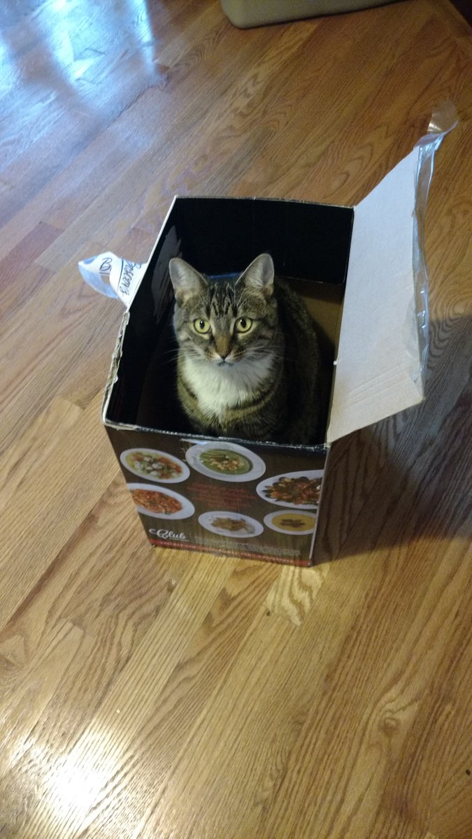 MegBoeni's tweet photo. That is not my crockpot https://t.co/5phNLDThsA