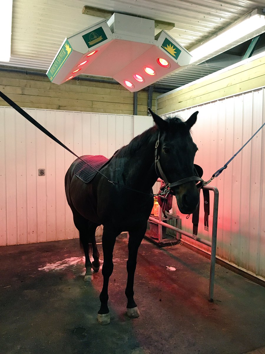 She was SO good today! 💘