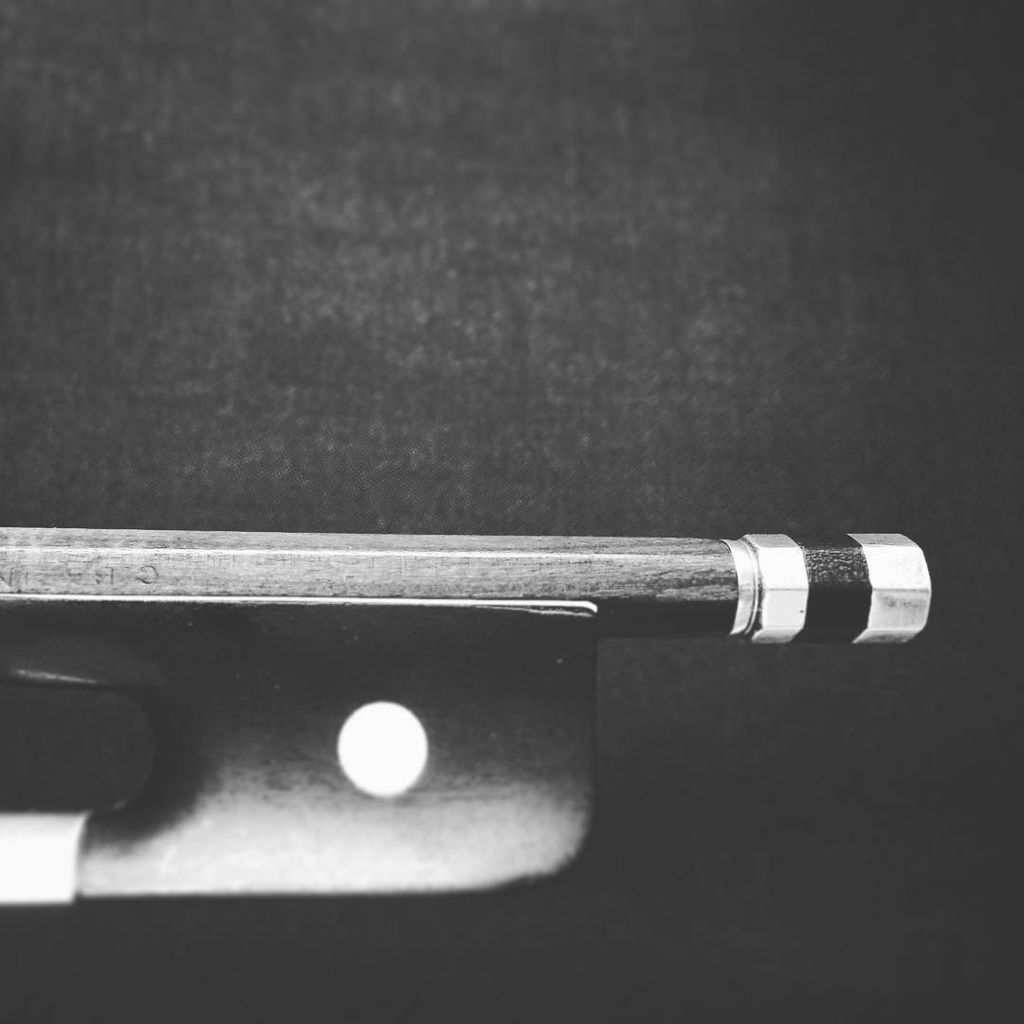 noahhoffeld's tweet photo. Seven days of black-and-white. Day seven. #FroggyStyle #Frog #Cello #StringedInstruments #StringFever #Blackandwhi… https://t.co/IAuar9oiWm https://t.co/DaSwT47mvn