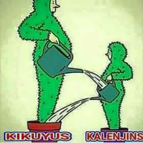 solo_ambuku's tweet photo. @ntvkenya People of #RiftValley have just realised #2022 for @WilliamsRuto is a cruel lie to them. #elections. #NasaRM says #OctoberNoElection my fren https://t.co/JVCyIzUyqx