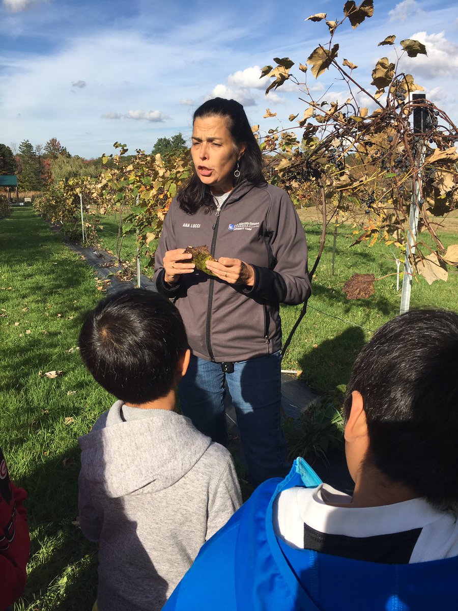 nehatrotterBCS's tweet photo. Foraging at Squire Valleevue Farm. Thanks Dr. Locci! https://t.co/PYOvjdGDZM