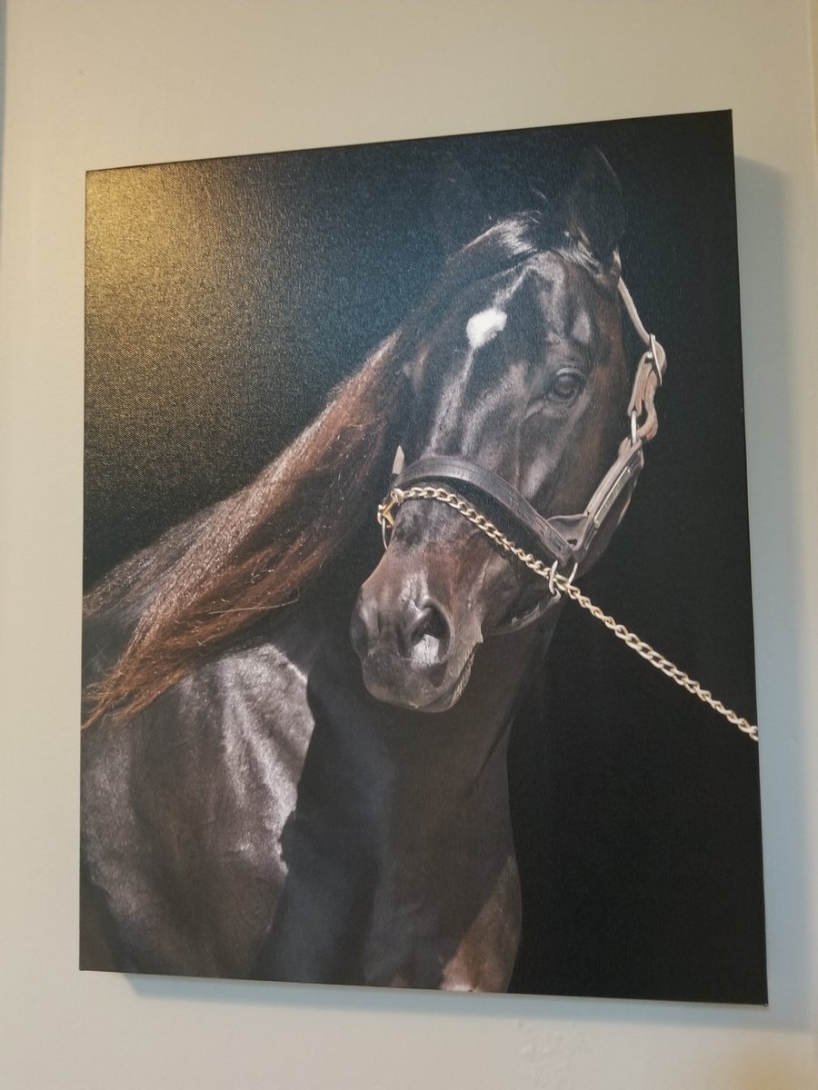 PonderSTB's tweet photo. What a stud. https://t.co/TKK1uhaFfW