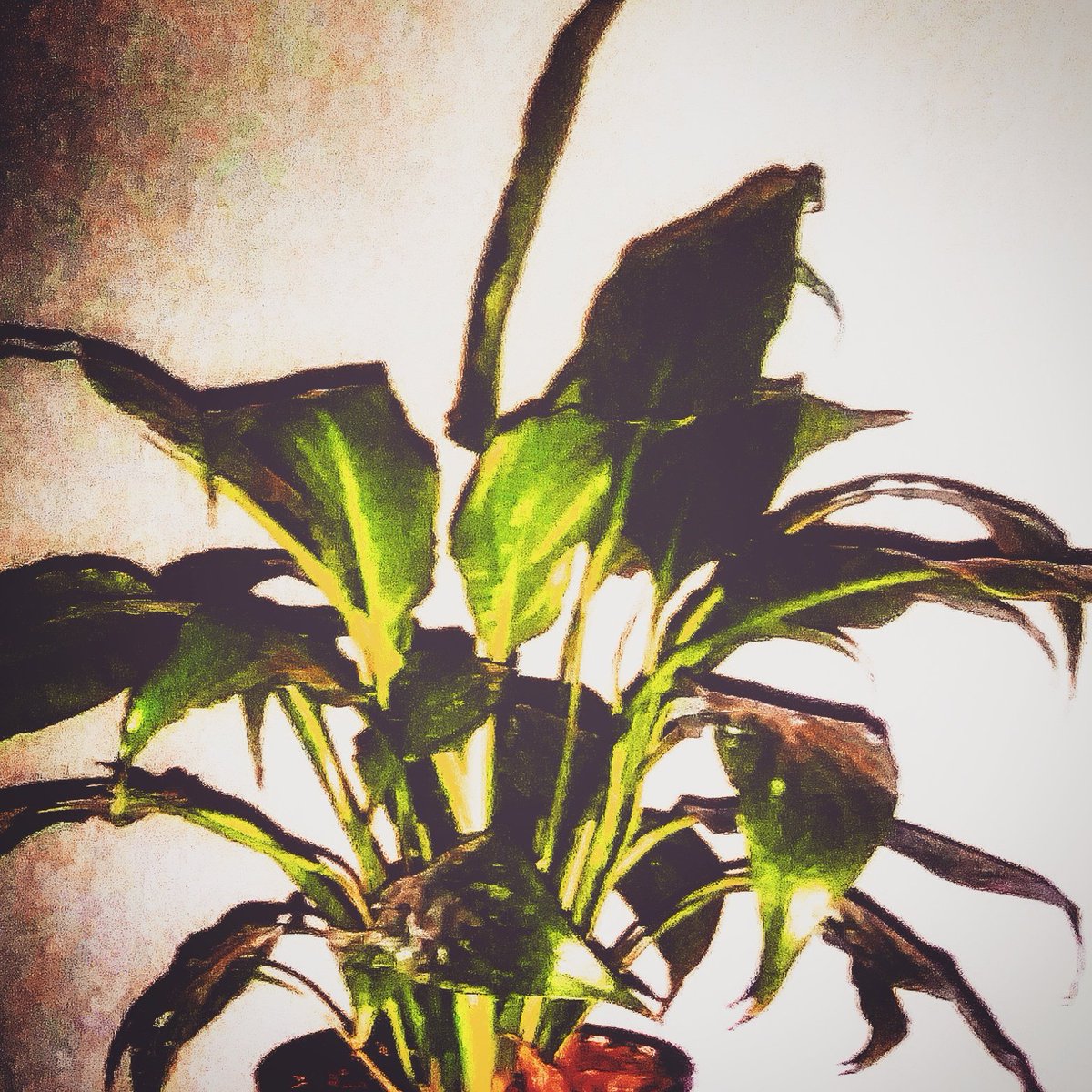 bonierrez tweet picture