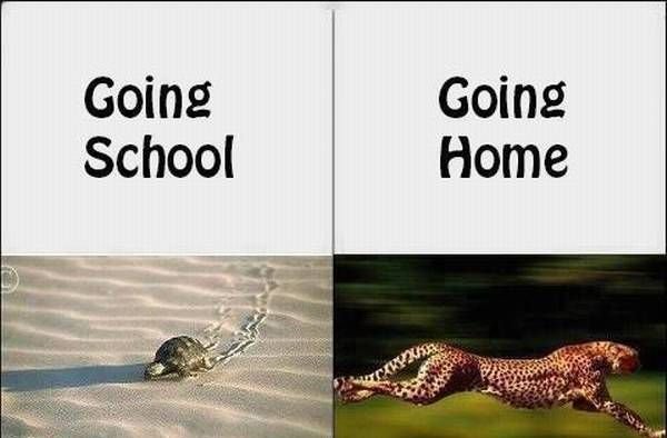 studytact's tweet image. Like if you can relate! #studytact #app #startup #tutor #weekend #meme