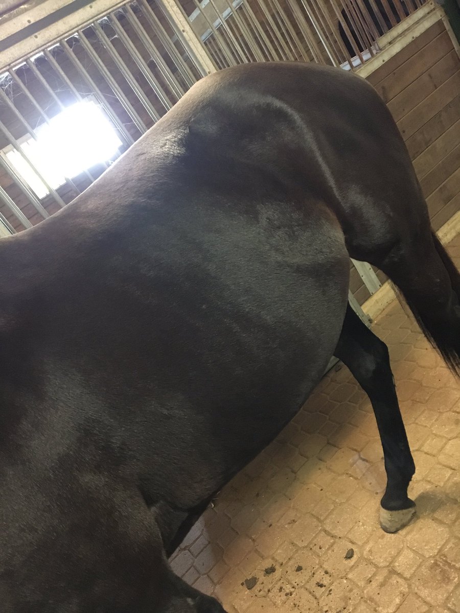 July 30 ➡️ Today I'm so glad she's healthy and happy again 😢