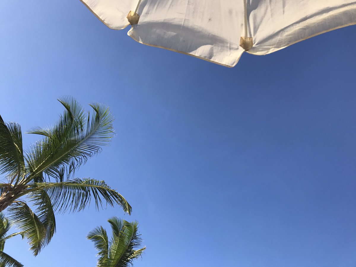 tonimmartin's tweet photo. My view. #DR2017 https://t.co/TeBVcyWQsD