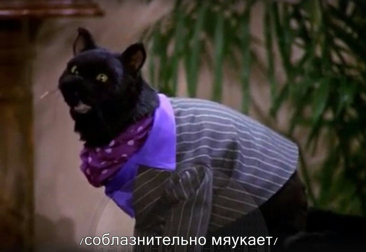 кот из сабрины маленькой