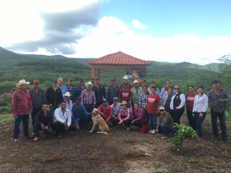 miguellj's tweet photo. Intercambio de experiencias en Las Palomas Meseta de Cacaxtla, APFF Meseta de Cacaxtla y APFF sierra de Álamos - Río Cuchujaqui, Sonora. https://t.co/zfT8bGexwA