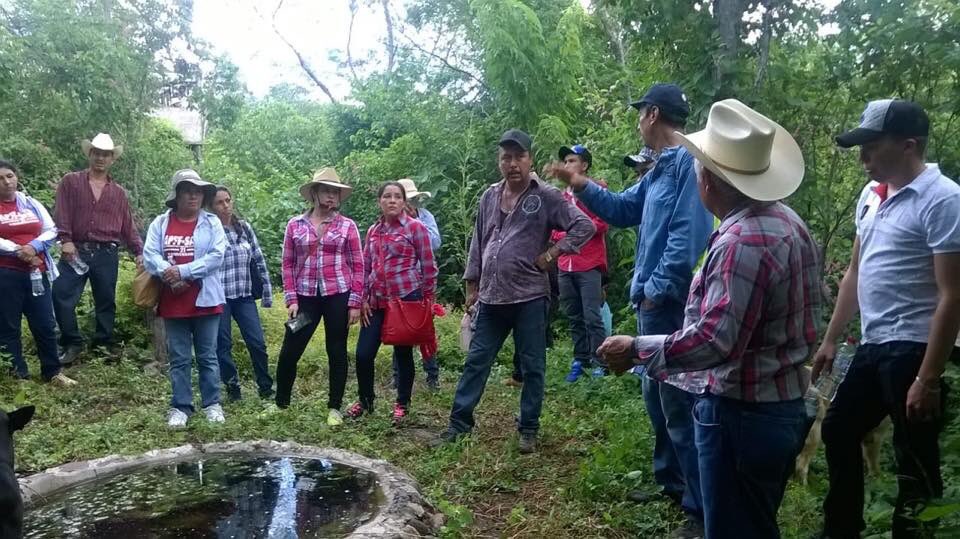 miguellj's tweet photo. Intercambio de experiencias en Las Palomas Meseta de Cacaxtla, APFF Meseta de Cacaxtla y APFF sierra de Álamos - Río Cuchujaqui, Sonora. https://t.co/zfT8bGexwA