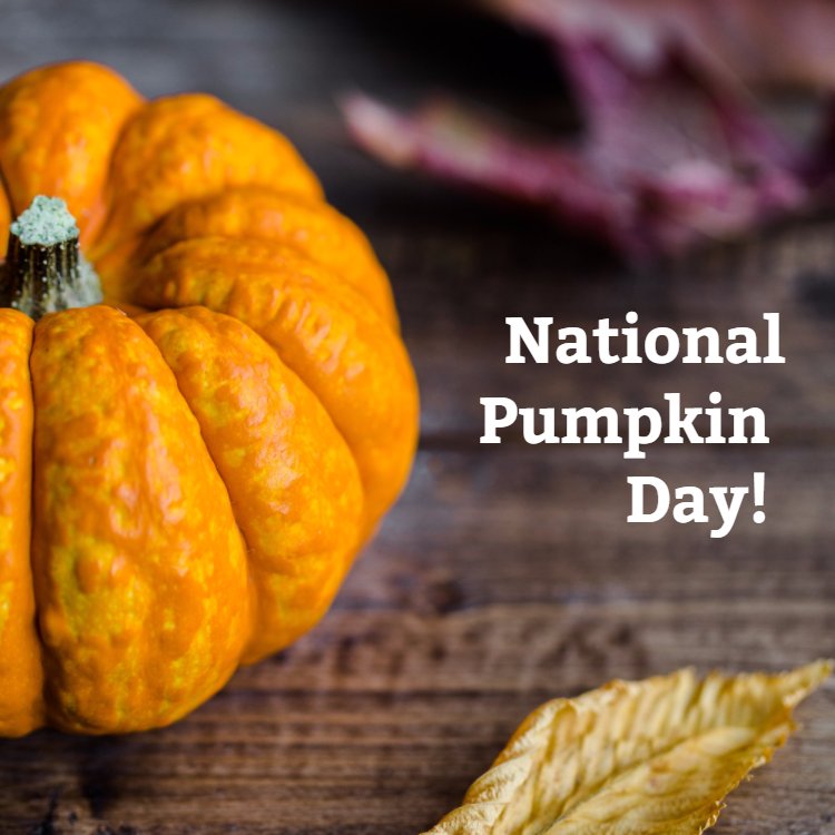 CanopyTours's tweet photo. Celebrate by carving one with the family! https://t.co/FBrk41Gh6o