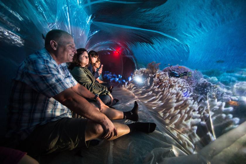 TheStudio_UI's tweet image. New @uiowa class challenges students to meld technology, performance @dansfine now.uiowa.edu/2017/10/new-ui…