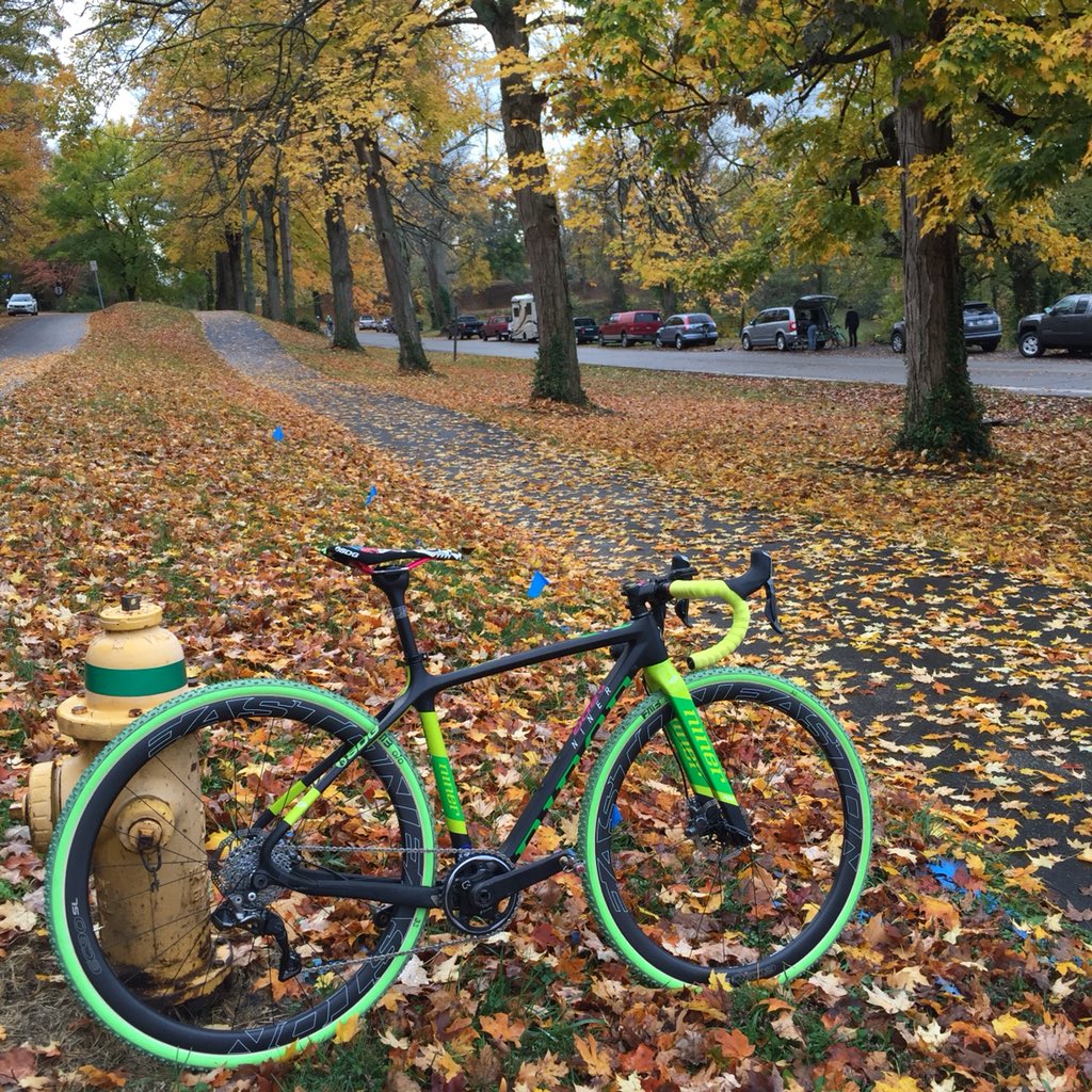 #tbt 🍂💚

Heading back to Devou this weekend. Which reminds me I have a couple of these lovely frames for sale still. Size 47. DM me!