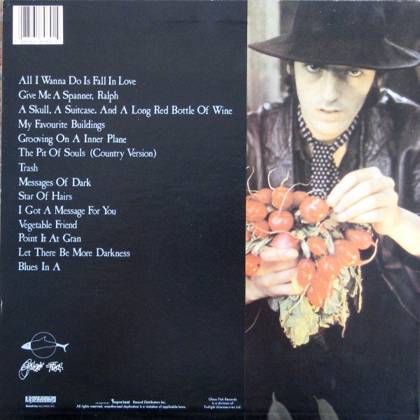 turntabling's tweet image. #RobynHitchcock Invisible Hitchcock is just...well, I'm a fan. discogs.com/sell/item/5475…