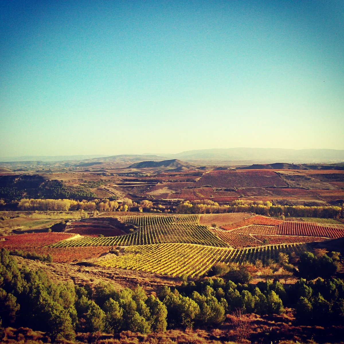 love2rioja's tweet photo. #Nowords 🍁😍🍷
#Rioja #wine #fall #Autumn #vineyards #vines #valley #Spain #winetours #winetour #sunset #loveRioja https://t.co/q9eYaOAglQ