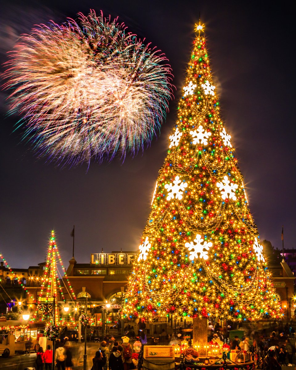 hidero702's tweet photo. 今年もディズニーのクリスマスが楽しみ！ https://t.co/Xkg2j9htSa