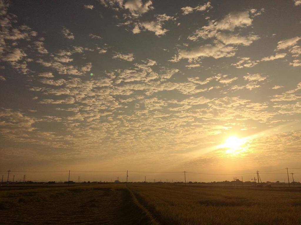 8hatchi's tweet photo. おはようございます。
もしかして…プレ金?
#photooftheday #webstagram #instagramlovers #jp_views2nd #icu_japan #ig_nippon #ig_japan #igersjp #wu_japan #ig_jap… https://t.co/Qoc3lNywc7