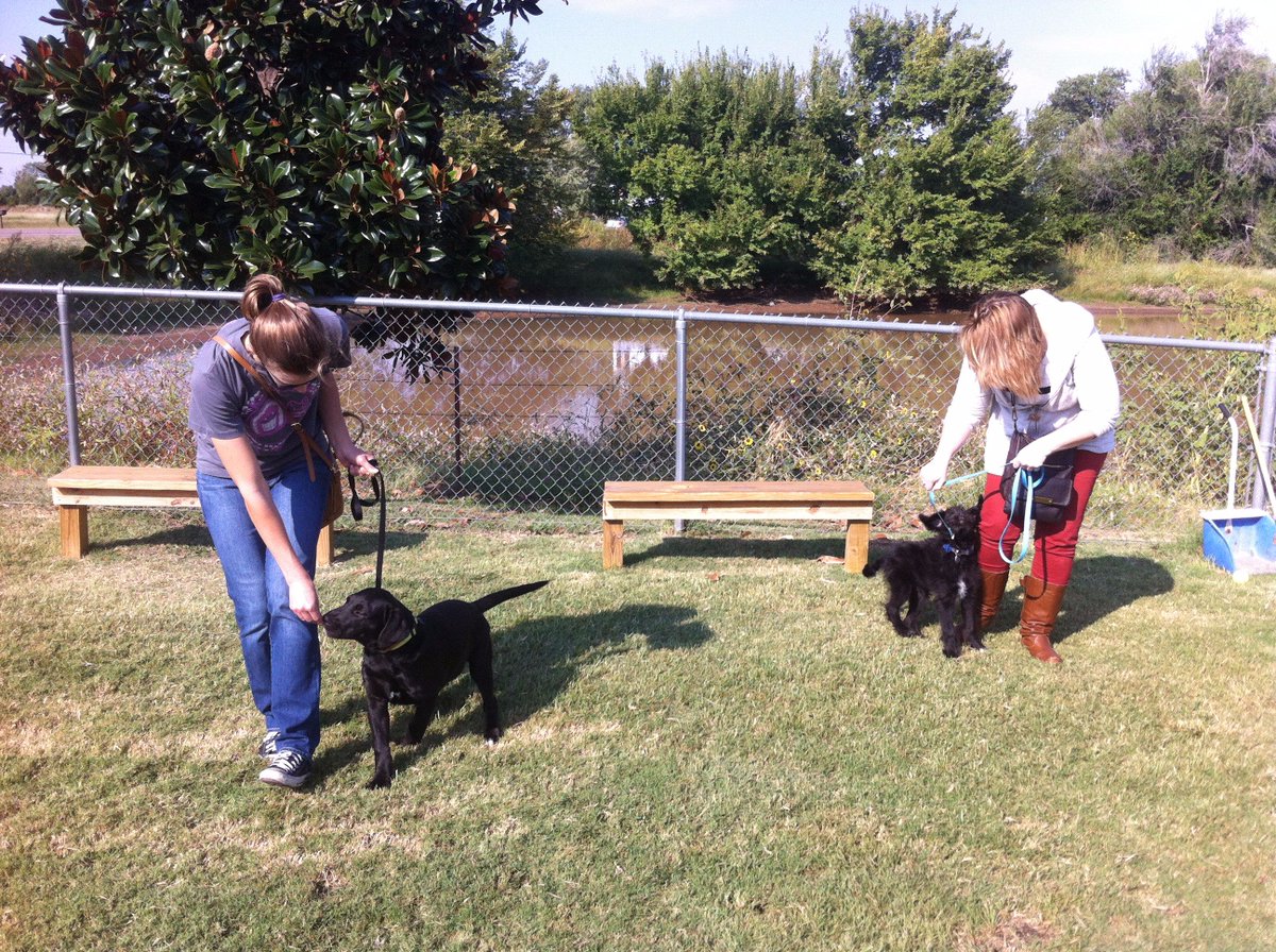 K9University's tweet photo. Spay and neutering is half the equation in controlling shelter populations. Training is the 2nd half of the equation. Get your pup trained https://t.co/VWzibkU3lp