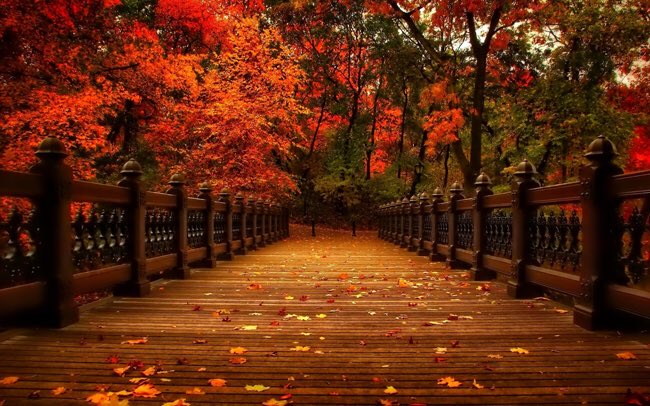 mo_symple's tweet photo. تمنى عكس ما تريد ولا تخبر أحدا 
حتى تتحقق أمانيك https://t.co/yULbRMT9y0