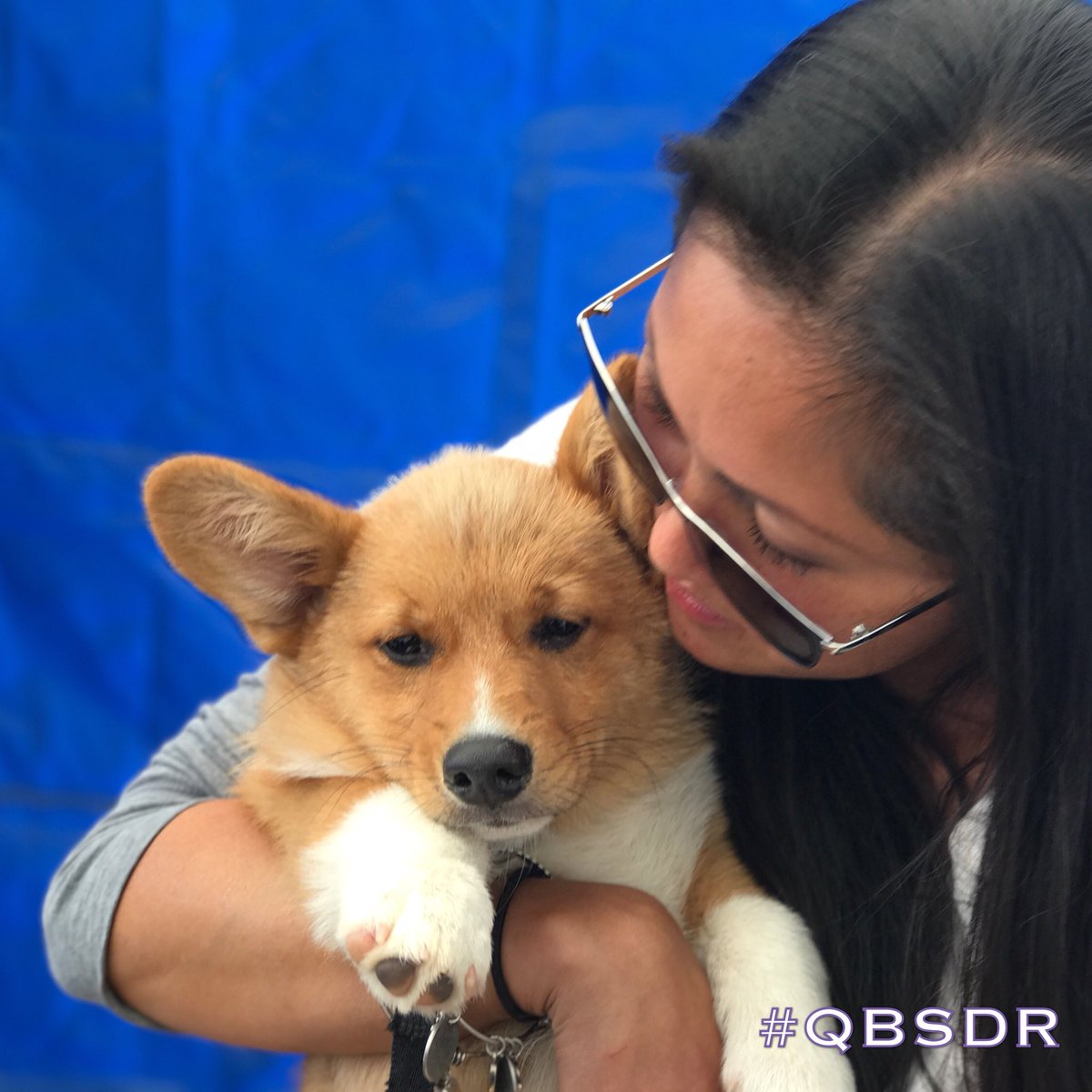 #Throwback to last weekend at #CorgiCon, when this baby was surrendered at 14wks old. Bred by a #puppymill and sold by #puppyflippers.