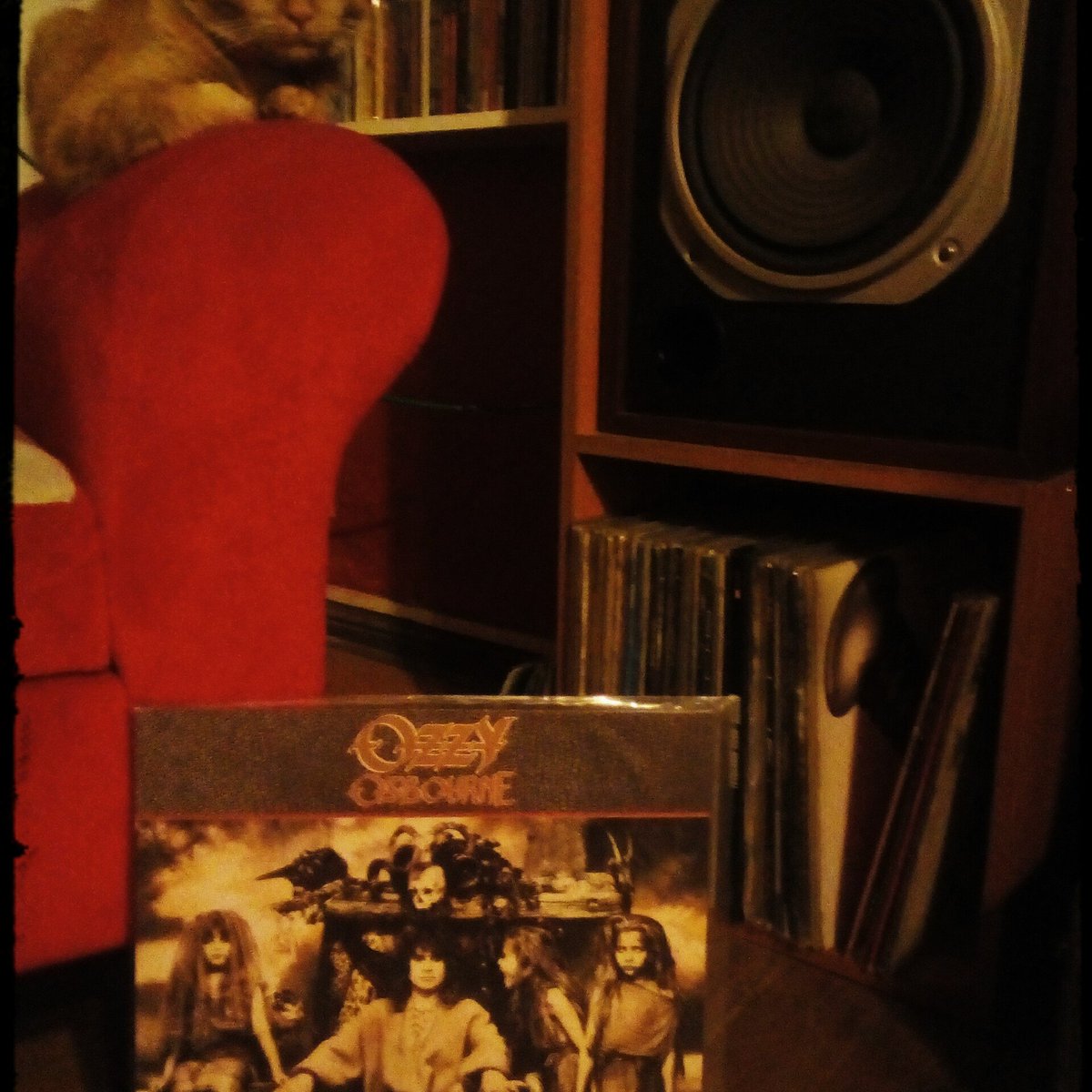 Ra disfrutando de Ozzy, tiene claro sus gustos!