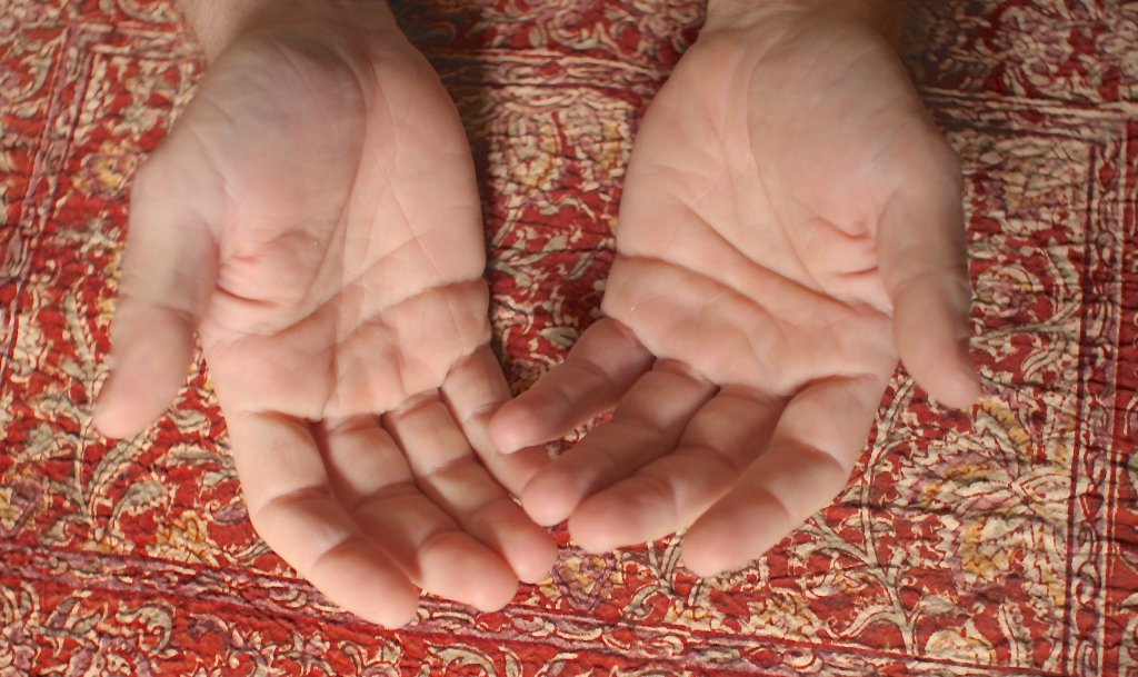 BareDPT's tweet image. Palpate:  Pal-pate barephysicaltherapy.com/2017/10/27/pal…