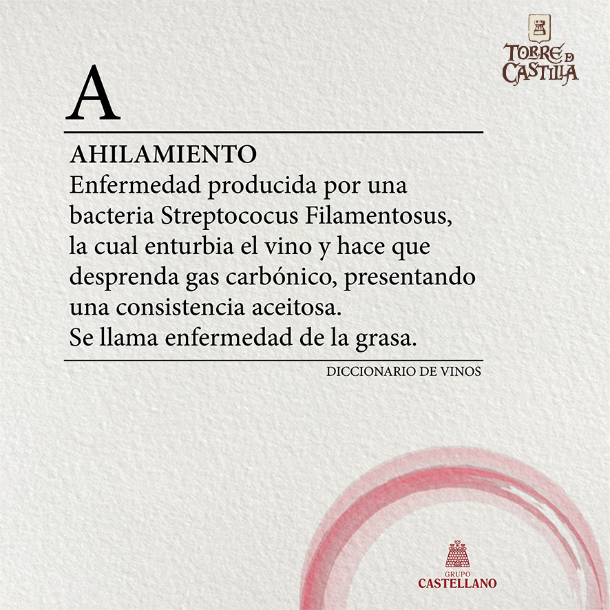Más palabras nuevas, en nuestro #Diccionario de Vino #Vino #GrupoCastellano