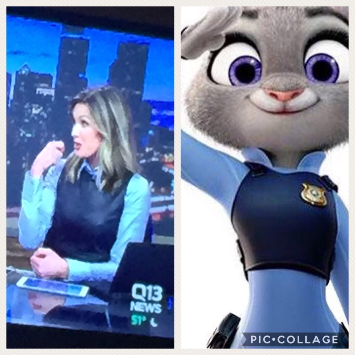 MrsGingerRed's tweet image. When your news anchor looks like Judy Hopps. @marnihughesQ13 I appreciate you.