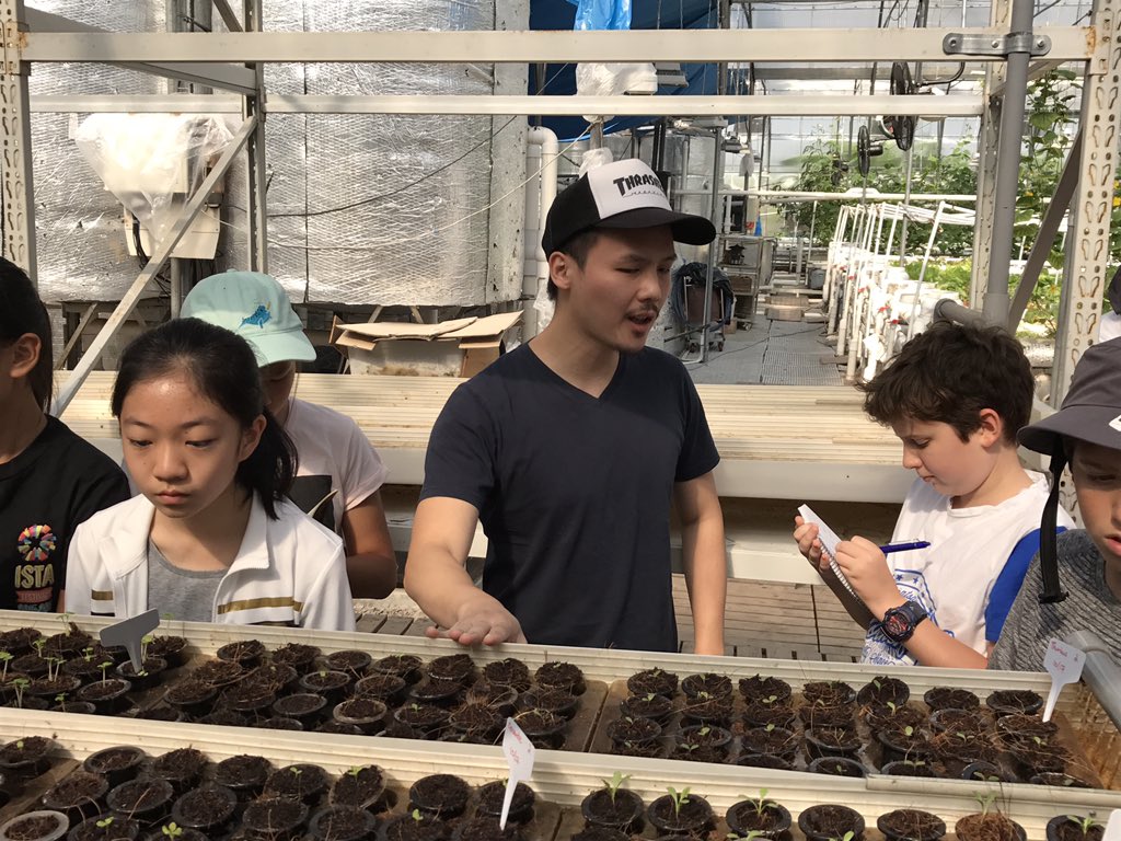 lovenguin's tweet photo. #MYP @CDNISComm students visit Evergreen #aquaponic #farm to explore how #Sustainable &amp; #Organic #vegetables are grown in #Hongkong https://t.co/xhE2ejVG2g