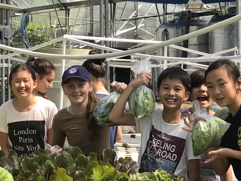 lovenguin's tweet photo. #MYP @CDNISComm students visit Evergreen #aquaponic #farm to explore how #Sustainable &amp; #Organic #vegetables are grown in #Hongkong https://t.co/xhE2ejVG2g
