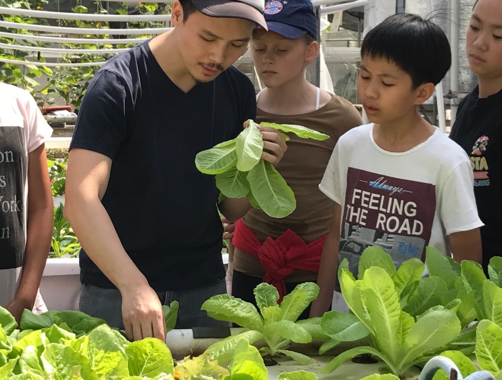 lovenguin's tweet photo. #MYP @CDNISComm students visit Evergreen #aquaponic #farm to explore how #Sustainable &amp; #Organic #vegetables are grown in #Hongkong https://t.co/xhE2ejVG2g