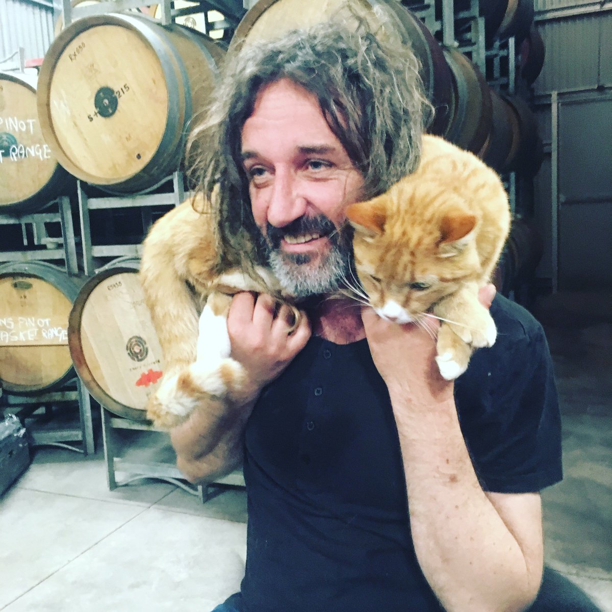 CAT SCARF @ochotabarrels #CatScarvesOFInstagram #JBT17